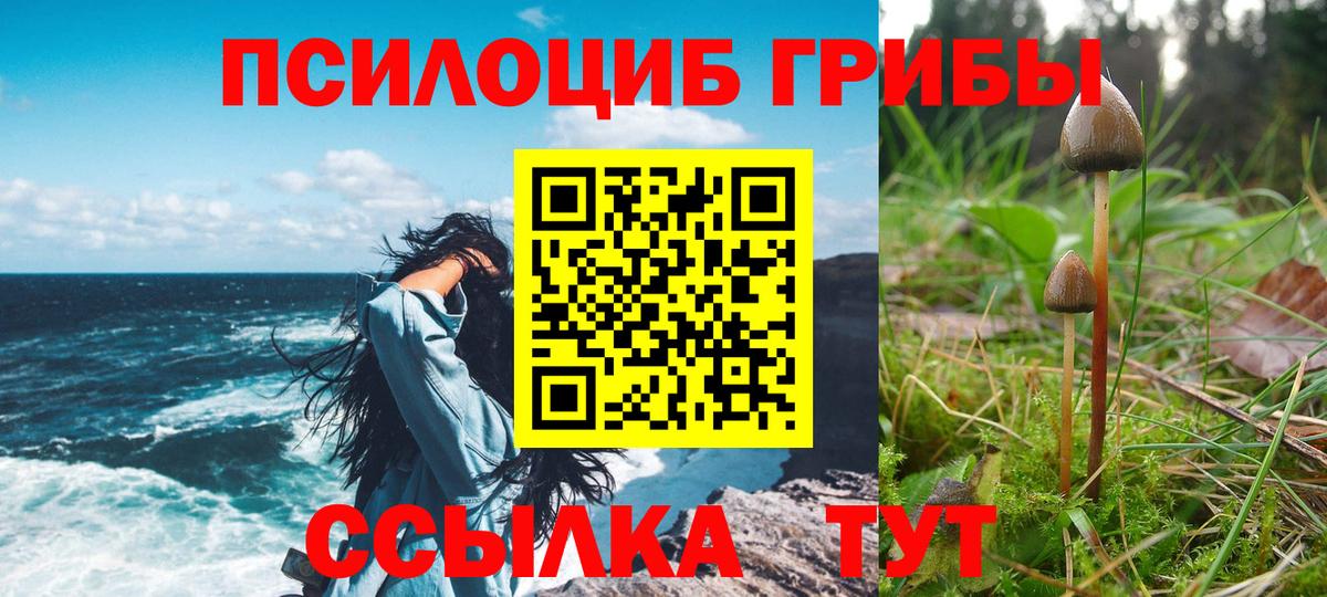 Галлюциногенные грибы Cubensis Грязи