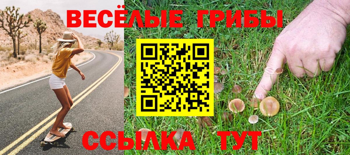закладки  Псилоцибиновые грибы GOLDEN TEACHER  Вход с VPN  Грязи 